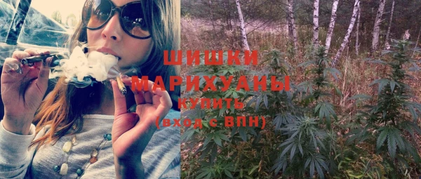 гидра Белая Холуница