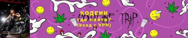 дмт Кодинск