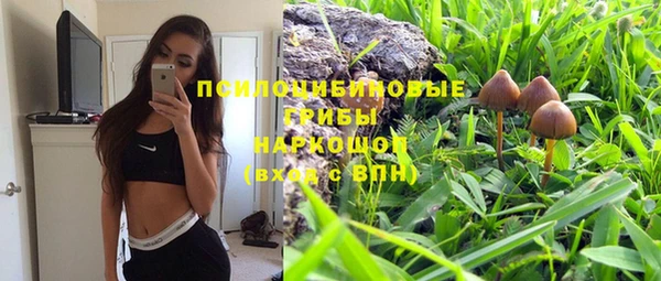 дживик Киреевск