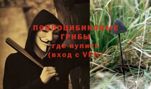 дживик Киреевск