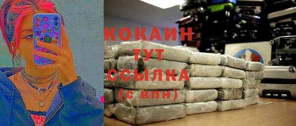 гидра Касимов