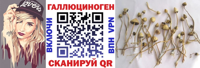 ОМГ ОМГ как войти  Кяхта  Галлюциногенные грибы мицелий  что такое наркотик 